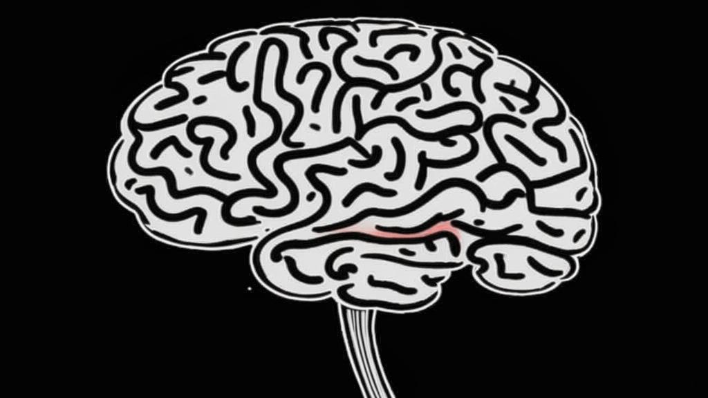 Улучшите зрение ответ brain out